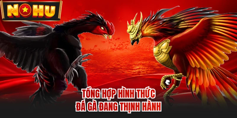 Tổng hợp hình thức đá gà đang thịnh hành